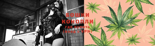 стаф Гатчина
