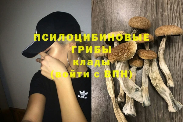 ГАЛЛЮЦИНОГЕННЫЕ ГРИБЫ Вуктыл