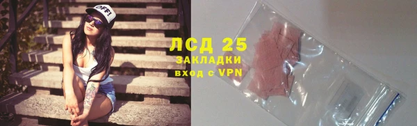 ГАЛЛЮЦИНОГЕННЫЕ ГРИБЫ Вуктыл