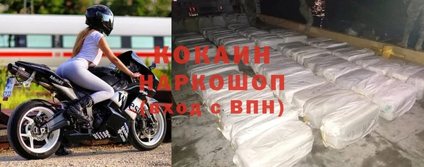стаф Гатчина