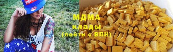 стаф Гатчина