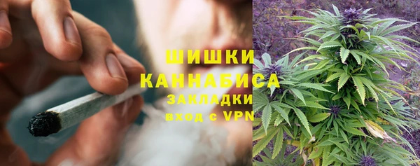 прущая мука Гвардейск