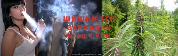 стаф Гатчина